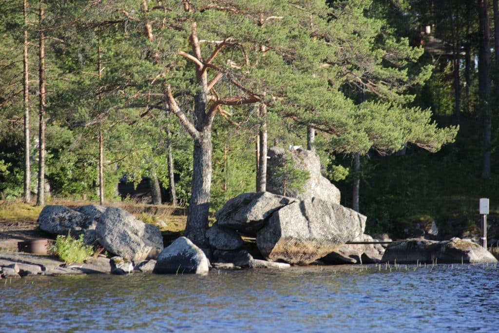 Puita ja kiviä järven rannassa. Aholan mökit Padasjoki.