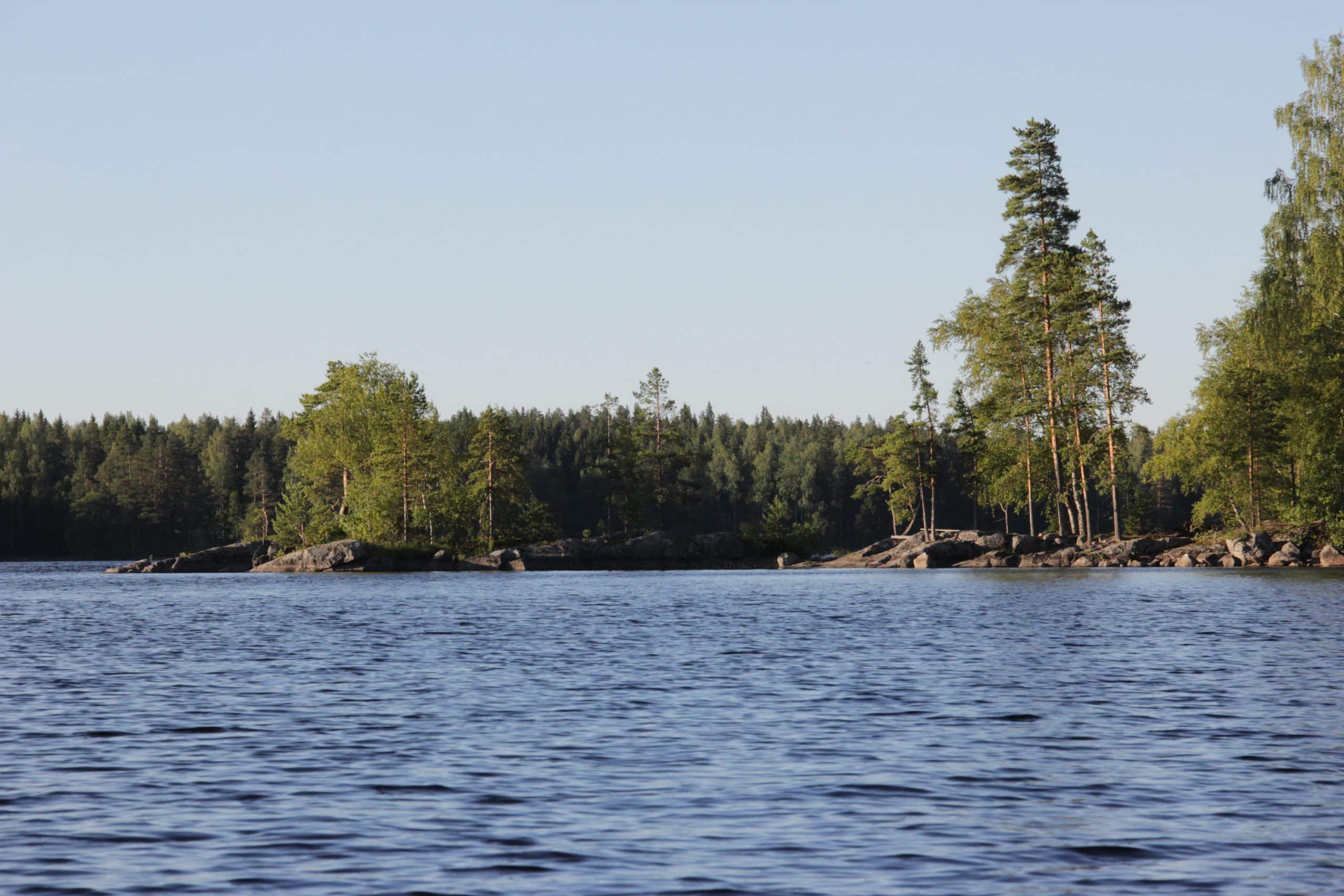 Kesäinen maisemakuva järvenrantaa ja metsämaisemaa. Aholan mökit Padasjoki.