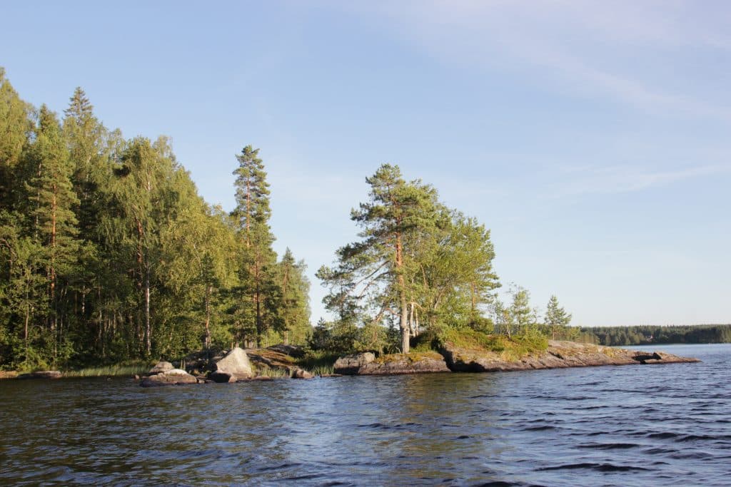 Kesäinen maisemakuva järvenrantaa ja metsämaisemaa. Aholan mökit Padasjoki.